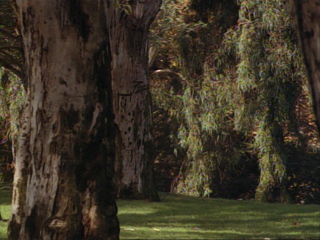 ariane179254_StarTrekVoyager_1x01_1x02-Caretaker_0482.jpg