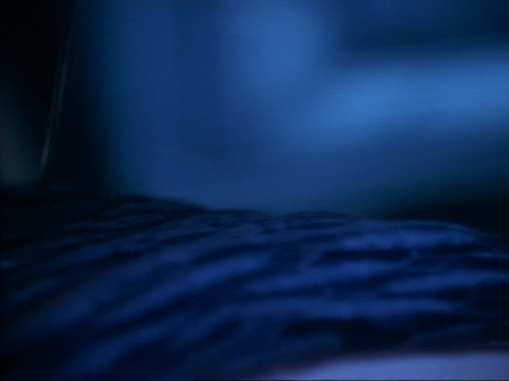 ariane179254_StarTrekVoyager_1x01_1x02-Caretaker_2531.jpg