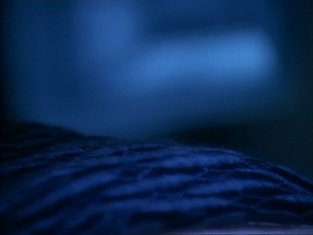 ariane179254_StarTrekVoyager_1x01_1x02-Caretaker_2532.jpg