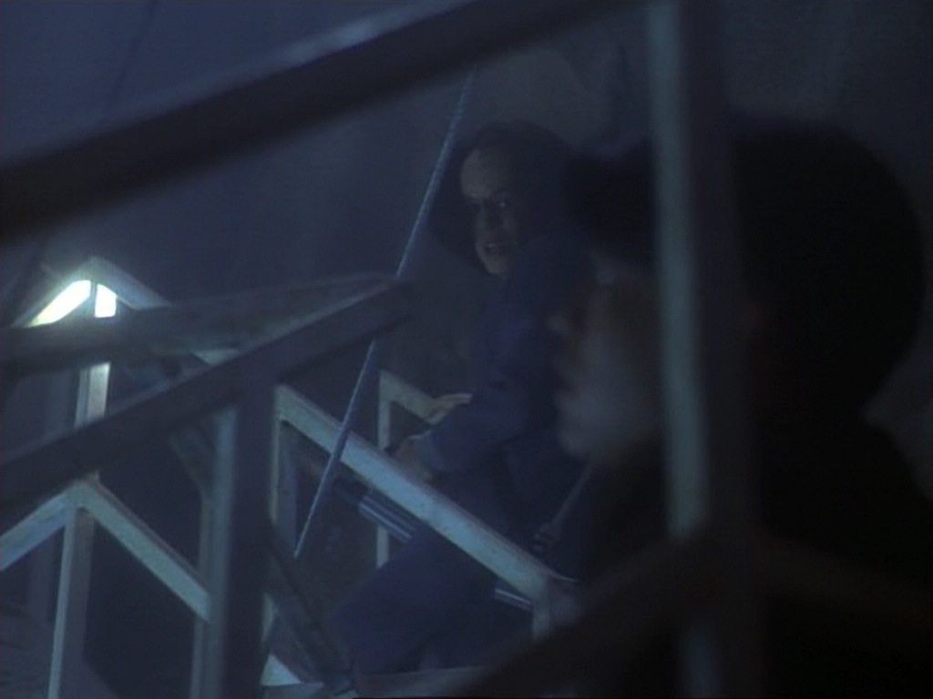 ariane179254_StarTrekVoyager_1x01_1x02-Caretaker_5344.jpg