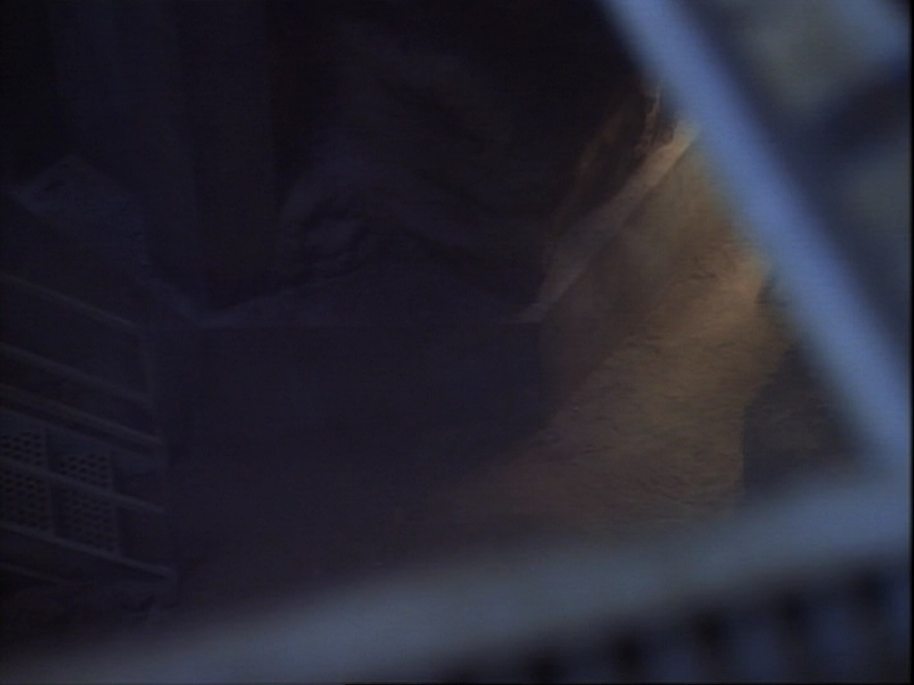 ariane179254_StarTrekVoyager_1x01_1x02-Caretaker_5593.jpg