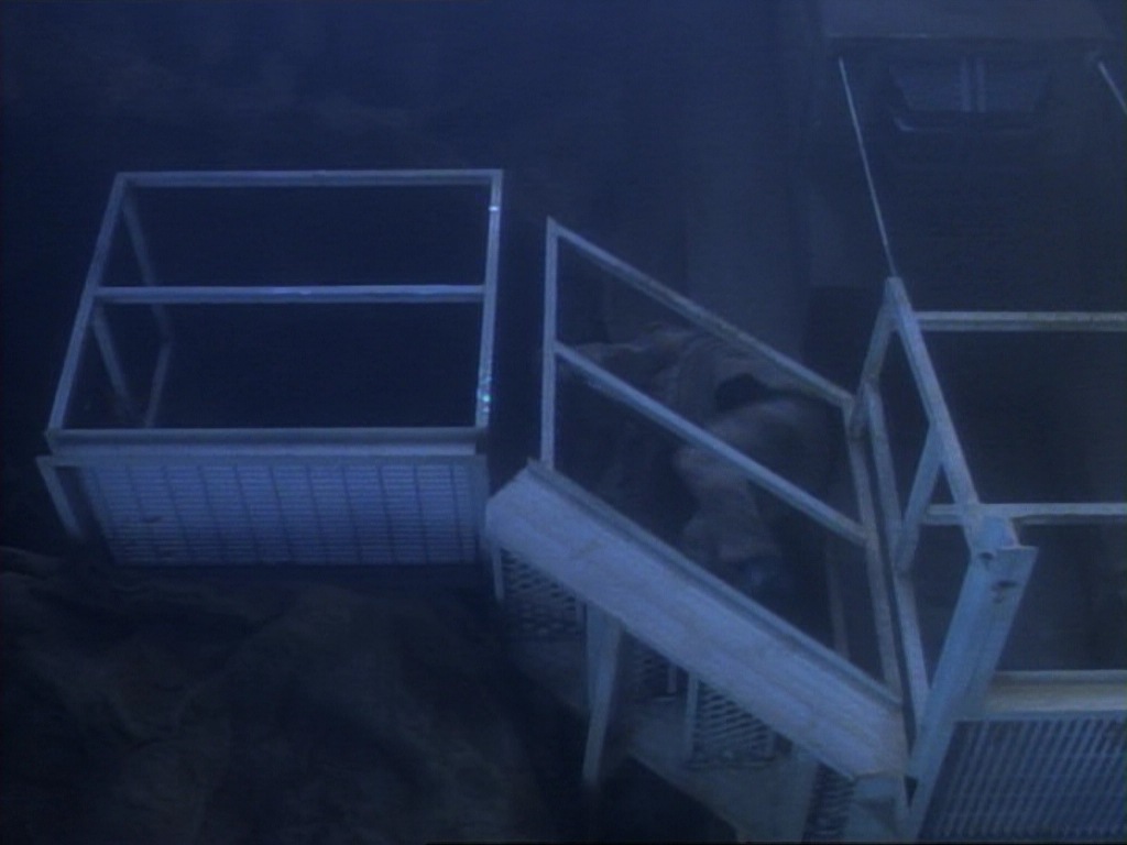 ariane179254_StarTrekVoyager_1x01_1x02-Caretaker_5731.jpg