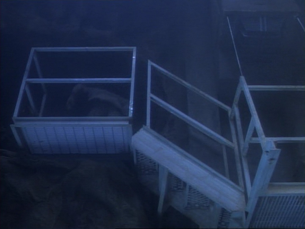 ariane179254_StarTrekVoyager_1x01_1x02-Caretaker_5733.jpg