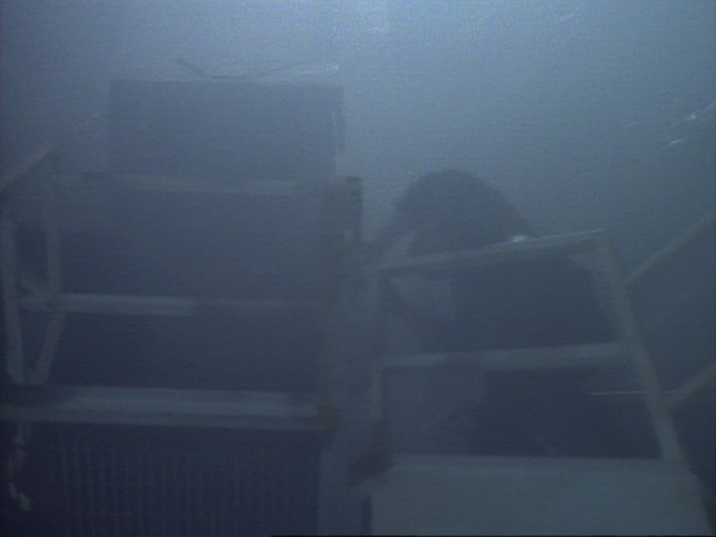 ariane179254_StarTrekVoyager_1x01_1x02-Caretaker_5773.jpg