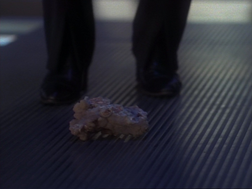 ariane179254_StarTrekVoyager_1x01_1x02-Caretaker_6870.jpg