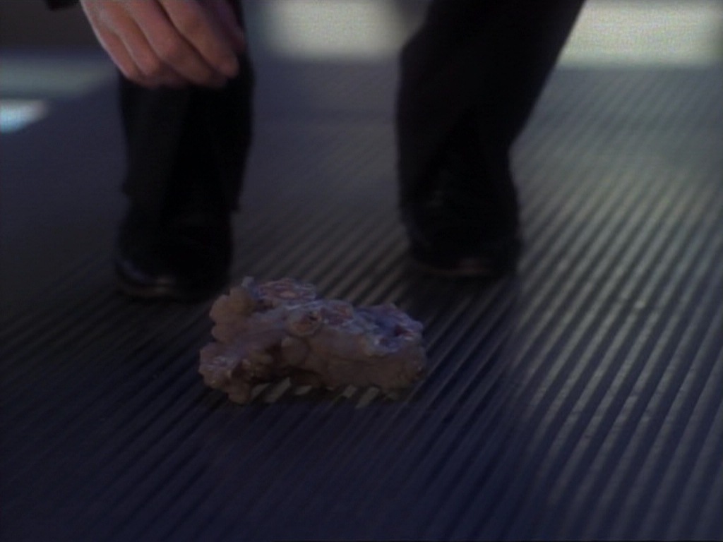 ariane179254_StarTrekVoyager_1x01_1x02-Caretaker_6872.jpg