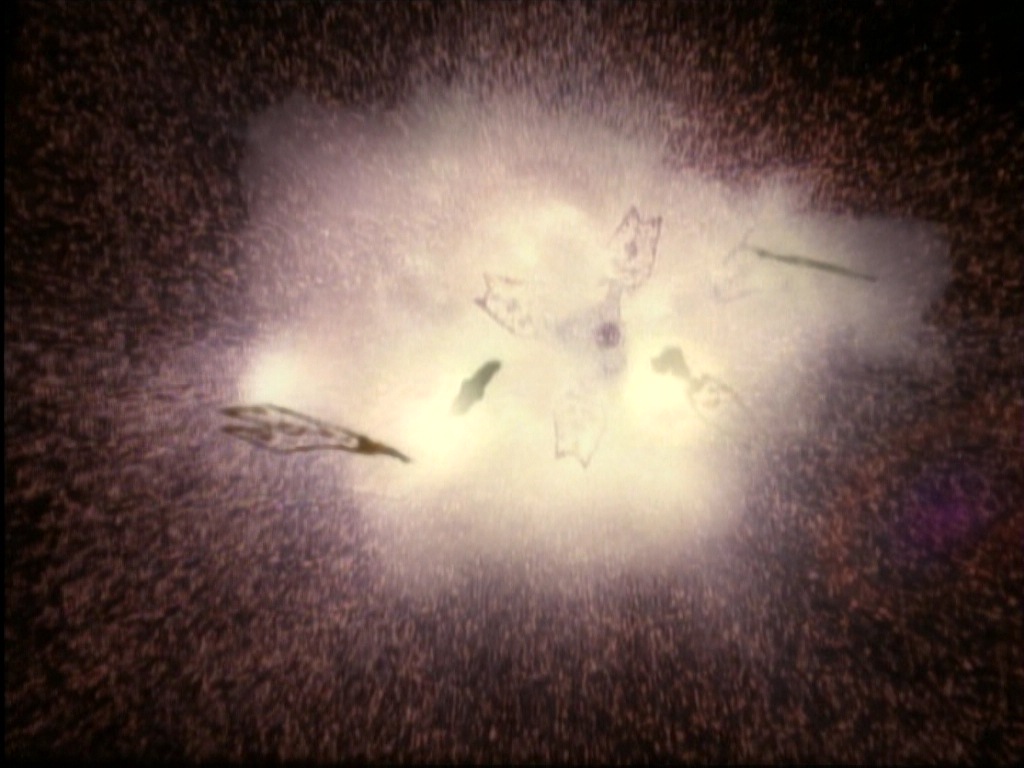 ariane179254_StarTrekVoyager_1x01_1x02-Caretaker_7050.jpg