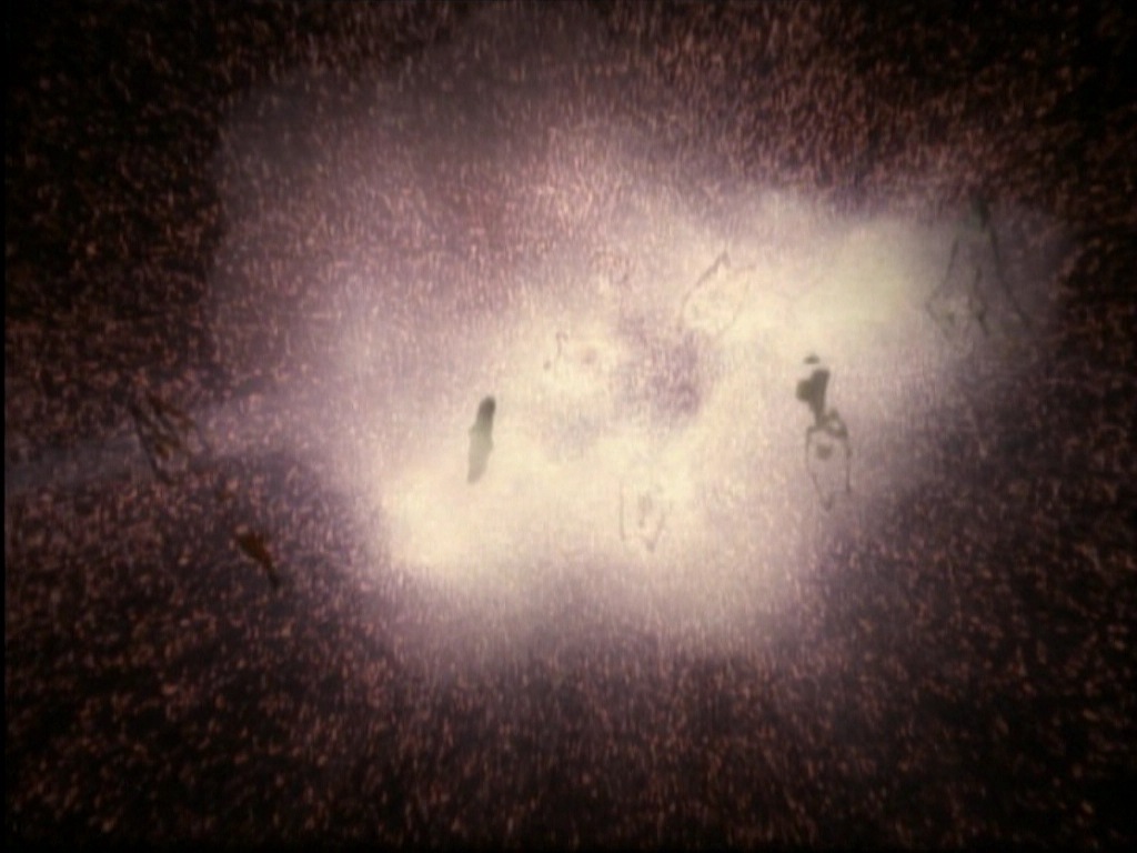 ariane179254_StarTrekVoyager_1x01_1x02-Caretaker_7054.jpg