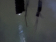 ariane179254_StarTrekVoyager_1x01_1x02-Caretaker_1651.jpg
