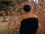 Filename=ariane179254_StarTrekVoyager_1x01_1x02-Caretaker_2099.jpg
Filesize=151KiB
Dimensions=1024x768
Date added=Jul 22, 2016 ariane179254_StarTrekVoyager_1x01_1x02-Caretaker_2099.jpg