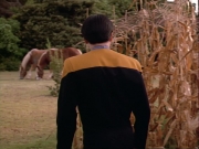 Filename=ariane179254_StarTrekVoyager_1x01_1x02-Caretaker_2100.jpg
Filesize=143KiB
Dimensions=1024x768
Date added=Jul 22, 2016 ariane179254_StarTrekVoyager_1x01_1x02-Caretaker_2100.jpg