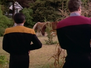 Filename=ariane179254_StarTrekVoyager_1x01_1x02-Caretaker_2102.jpg
Filesize=137KiB
Dimensions=1024x768
Date added=Jul 22, 2016 ariane179254_StarTrekVoyager_1x01_1x02-Caretaker_2102.jpg