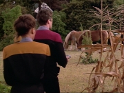 Filename=ariane179254_StarTrekVoyager_1x01_1x02-Caretaker_2105.jpg
Filesize=173KiB
Dimensions=1024x768
Date added=Jul 22, 2016 ariane179254_StarTrekVoyager_1x01_1x02-Caretaker_2105.jpg