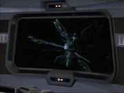Filename=ariane179254_StarTrekVoyager_1x01_1x02-Caretaker_5462.jpg
Filesize=104KiB
Dimensions=1024x768
Date added=Jul 22, 2016 ariane179254_StarTrekVoyager_1x01_1x02-Caretaker_5462.jpg