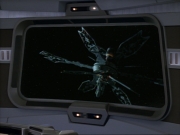 Filename=ariane179254_StarTrekVoyager_1x01_1x02-Caretaker_5463.jpg
Filesize=105KiB
Dimensions=1024x768
Date added=Jul 22, 2016 ariane179254_StarTrekVoyager_1x01_1x02-Caretaker_5463.jpg