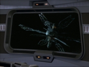 Filename=ariane179254_StarTrekVoyager_1x01_1x02-Caretaker_5465.jpg
Filesize=106KiB
Dimensions=1024x768
Date added=Jul 22, 2016 ariane179254_StarTrekVoyager_1x01_1x02-Caretaker_5465.jpg