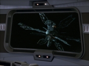 Filename=ariane179254_StarTrekVoyager_1x01_1x02-Caretaker_5467.jpg
Filesize=109KiB
Dimensions=1024x768
Date added=Jul 22, 2016 ariane179254_StarTrekVoyager_1x01_1x02-Caretaker_5467.jpg