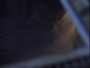 ariane179254_StarTrekVoyager_1x01_1x02-Caretaker_5593.jpg