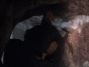 Filename=ariane179254_StarTrekVoyager_1x01_1x02-Caretaker_5752.jpg
Filesize=97KiB
Dimensions=1024x768
Date added=Jul 22, 2016 ariane179254_StarTrekVoyager_1x01_1x02-Caretaker_5752.jpg