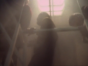 Filename=ariane179254_StarTrekVoyager_1x01_1x02-Caretaker_5766.jpg
Filesize=97KiB
Dimensions=1024x768
Date added=Jul 22, 2016 ariane179254_StarTrekVoyager_1x01_1x02-Caretaker_5766.jpg