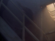 Filename=ariane179254_StarTrekVoyager_1x01_1x02-Caretaker_5769.jpg
Filesize=88KiB
Dimensions=1024x768
Date added=Jul 22, 2016 ariane179254_StarTrekVoyager_1x01_1x02-Caretaker_5769.jpg