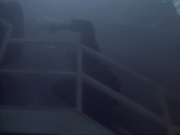 Filename=ariane179254_StarTrekVoyager_1x01_1x02-Caretaker_5770.jpg
Filesize=77KiB
Dimensions=1024x768
Date added=Jul 22, 2016 ariane179254_StarTrekVoyager_1x01_1x02-Caretaker_5770.jpg