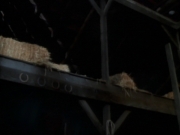 Filename=ariane179254_StarTrekVoyager_1x01_1x02-Caretaker_6792.jpg
Filesize=76KiB
Dimensions=1024x768
Date added=Jul 22, 2016 ariane179254_StarTrekVoyager_1x01_1x02-Caretaker_6792.jpg