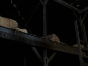 ariane179254_StarTrekVoyager_1x01_1x02-Caretaker_6793.jpg