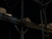 ariane179254_StarTrekVoyager_1x01_1x02-Caretaker_6794.jpg
