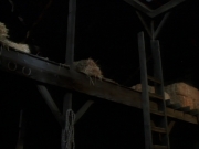 ariane179254_StarTrekVoyager_1x01_1x02-Caretaker_6795.jpg