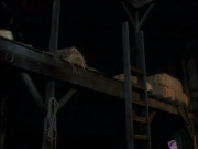 ariane179254_StarTrekVoyager_1x01_1x02-Caretaker_6796.jpg
