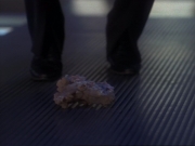 Filename=ariane179254_StarTrekVoyager_1x01_1x02-Caretaker_6871.jpg
Filesize=92KiB
Dimensions=1024x768
Date added=Jul 22, 2016 ariane179254_StarTrekVoyager_1x01_1x02-Caretaker_6871.jpg