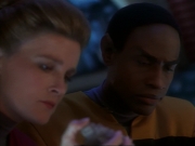 Filename=ariane179254_StarTrekVoyager_1x01_1x02-Caretaker_6903.jpg
Filesize=87KiB
Dimensions=1024x768
Date added=Jul 22, 2016 ariane179254_StarTrekVoyager_1x01_1x02-Caretaker_6903.jpg