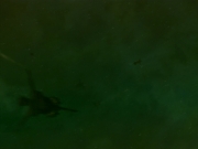 ariane179254_StarTrekVoyager_4x01-ScorpionPart2_3084.jpg