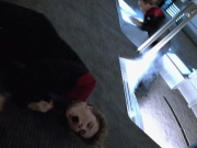 Filename=ariane179254_StarTrekVoyager_4x01-ScorpionPart2_3181.jpg
Filesize=146KiB
Dimensions=1200x900
Date added=Aug 08, 2016 ariane179254_StarTrekVoyager_4x01-ScorpionPart2_3181.jpg