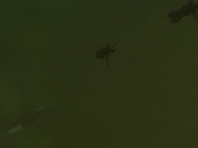 ariane179254_StarTrekVoyager_4x01-ScorpionPart2_3229.jpg