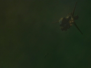 ariane179254_StarTrekVoyager_4x01-ScorpionPart2_3231.jpg