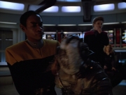 Filename=ariane179254_StarTrekVoyager_4x01-ScorpionPart2_3561.jpg
Filesize=125KiB
Dimensions=1200x900
Date added=Aug 08, 2016 ariane179254_StarTrekVoyager_4x01-ScorpionPart2_3561.jpg