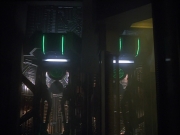Filename=extant_StarTrekVoyager_4x02-TheGift_0066.jpg
Filesize=117KiB
Dimensions=1200x900
Date added=May 29, 2018 extant_StarTrekVoyager_4x02-TheGift_0066.jpg