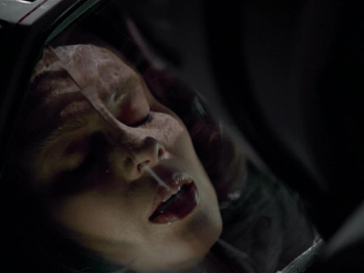 extant_StarTrekVoyager_4x03-DayOfHonor_4729.jpg