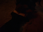 extant_StarTrekVoyager_4x03-DayOfHonor_1695.jpg