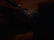 Filename=extant_StarTrekVoyager_4x03-DayOfHonor_1704.jpg
Filesize=89KiB
Dimensions=1200x900
Date added=May 29, 2018 extant_StarTrekVoyager_4x03-DayOfHonor_1704.jpg