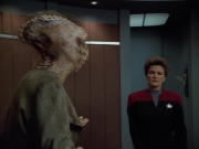 extant_StarTrekVoyager_4x03-DayOfHonor_1966.jpg