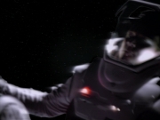 Filename=extant_StarTrekVoyager_4x03-DayOfHonor_3691.jpg
Filesize=96KiB
Dimensions=1200x900
Date added=May 29, 2018 extant_StarTrekVoyager_4x03-DayOfHonor_3691.jpg