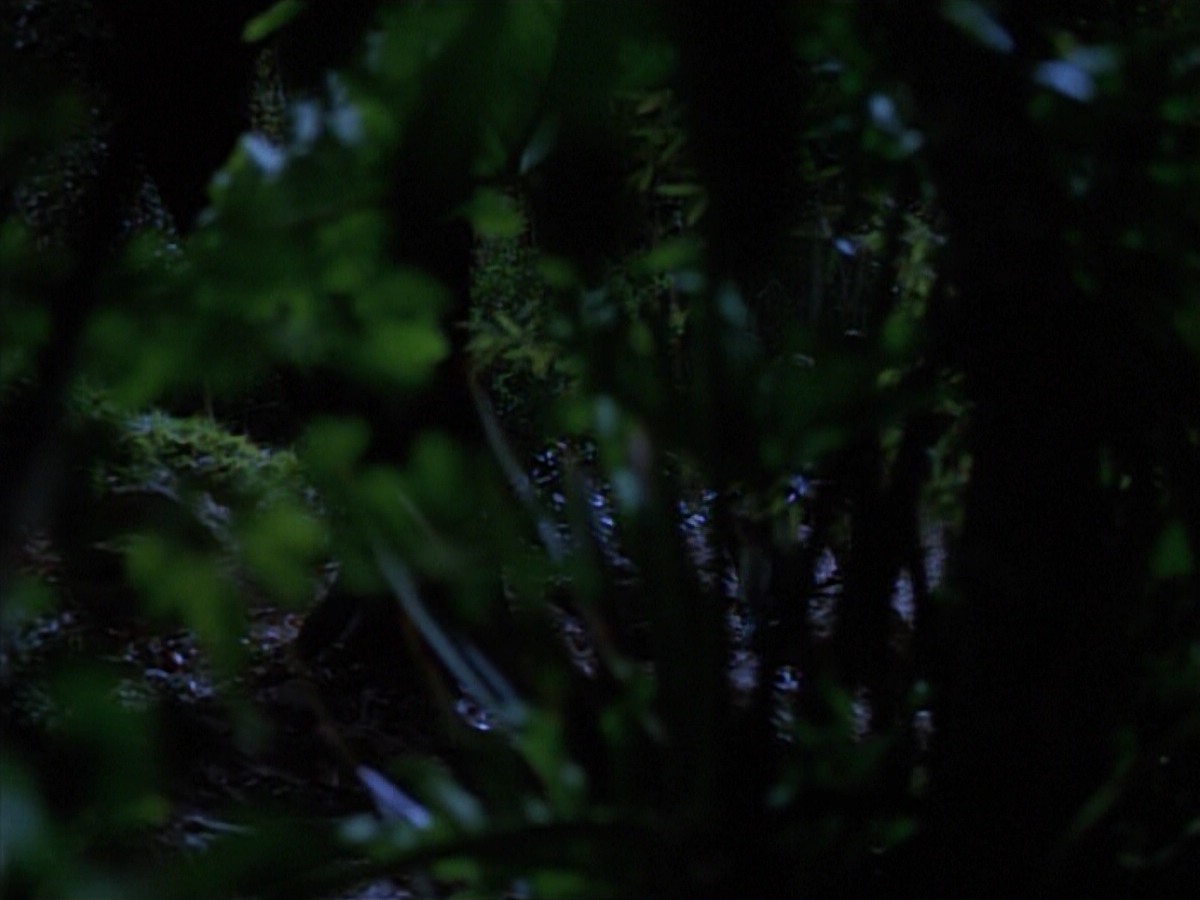 extant_StarTrekVoyager_4x04-Nemesis_0006.jpg