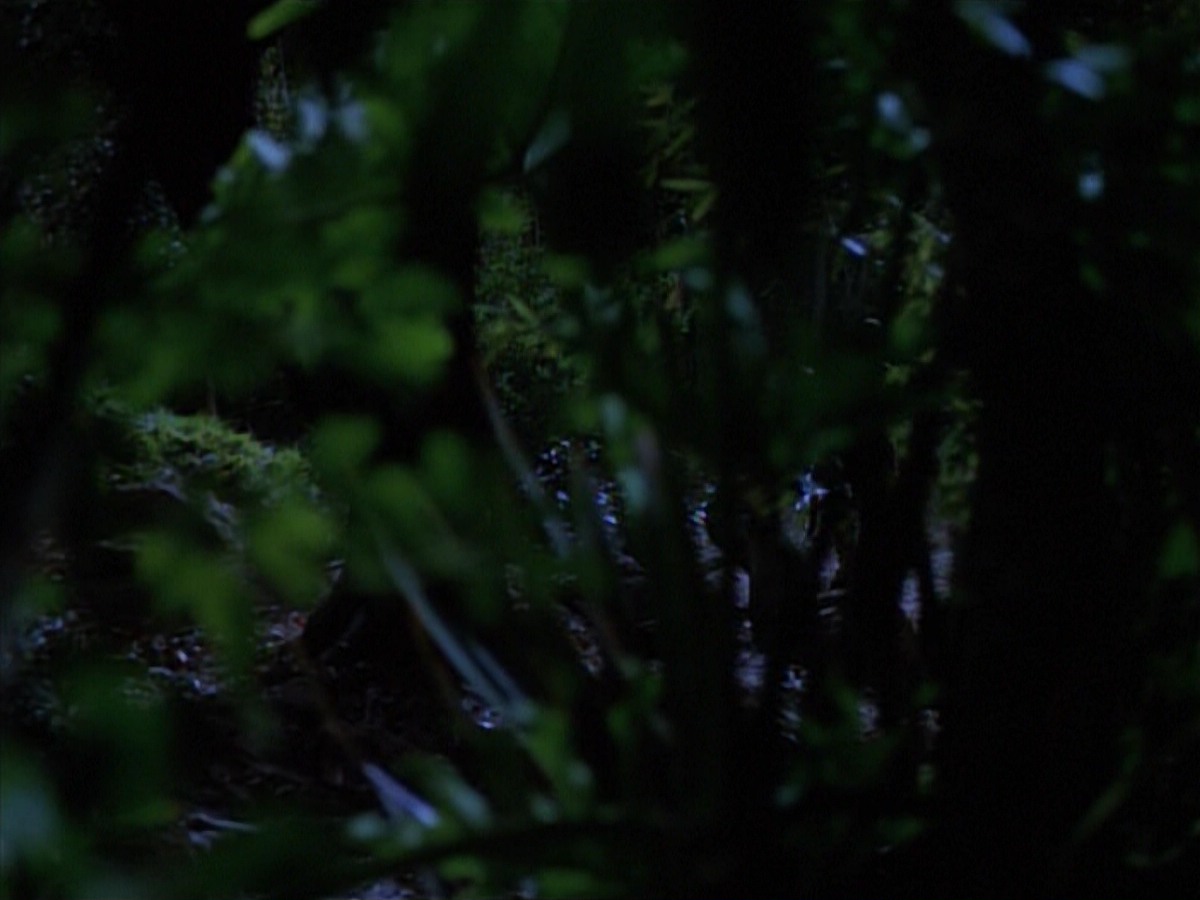 extant_StarTrekVoyager_4x04-Nemesis_0007.jpg