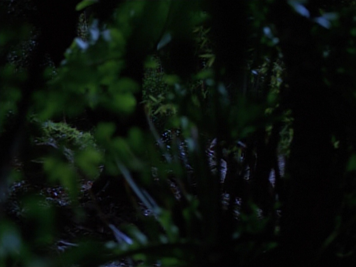 extant_StarTrekVoyager_4x04-Nemesis_0008.jpg