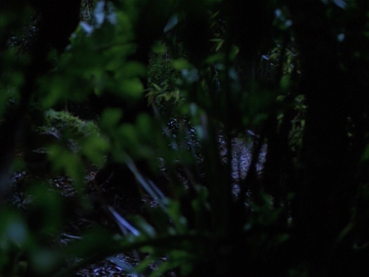 extant_StarTrekVoyager_4x04-Nemesis_0013.jpg