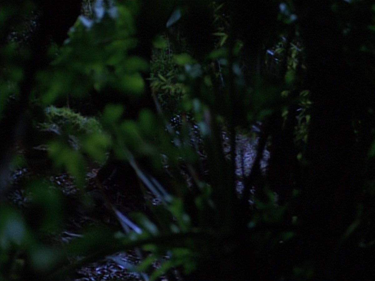 extant_StarTrekVoyager_4x04-Nemesis_0015.jpg