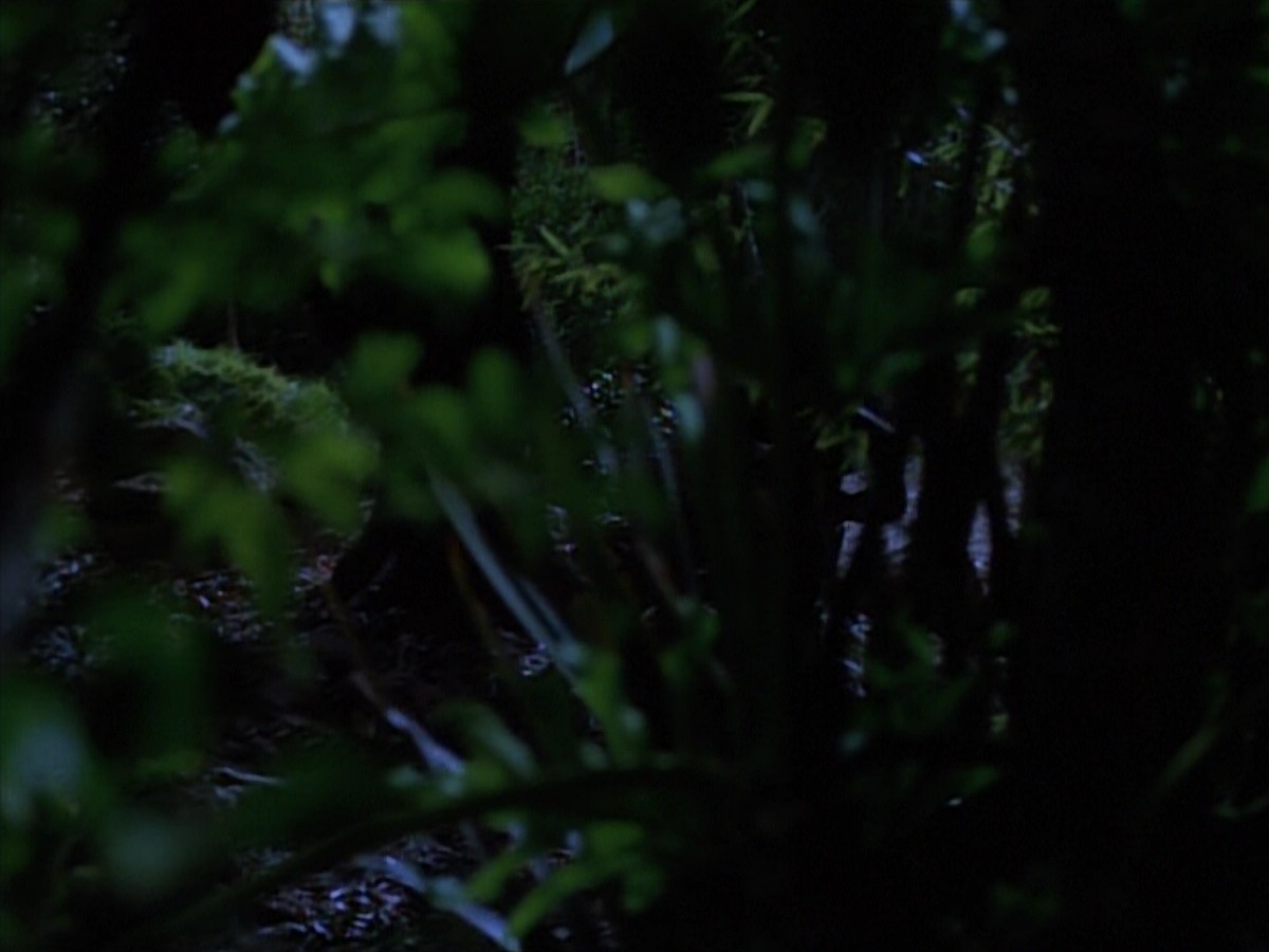 extant_StarTrekVoyager_4x04-Nemesis_0017.jpg